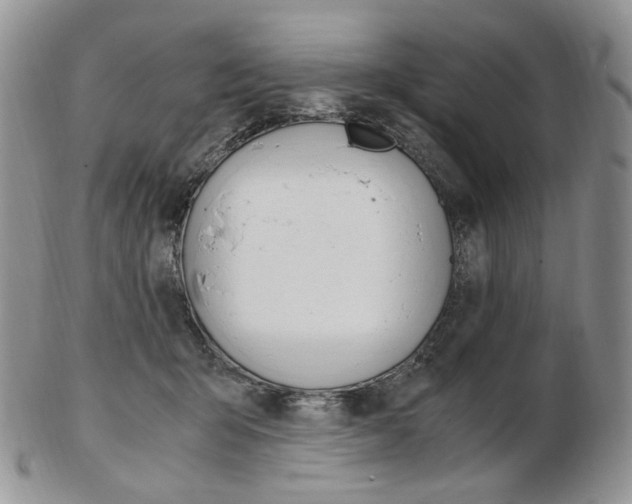 X0000103130415200808221046