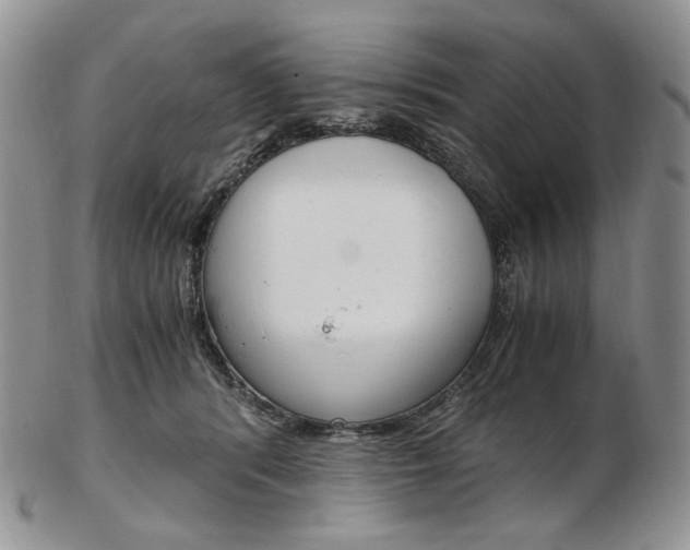 X0000103130416200808221046