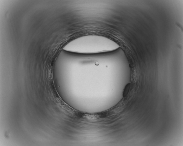 X0000103130417200808221046