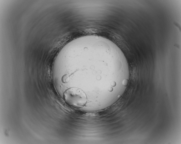 X0000103130418200808221046