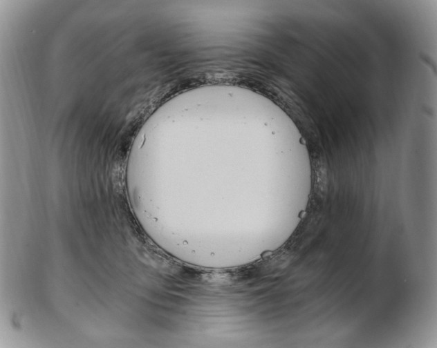 X0000103130419200808221046