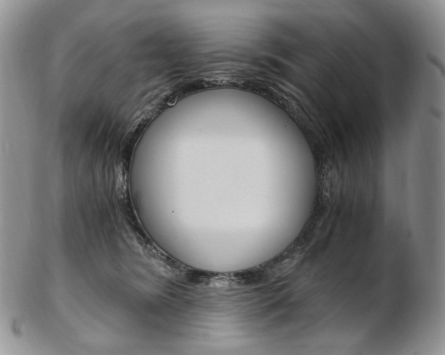 X0000103130420200808221046