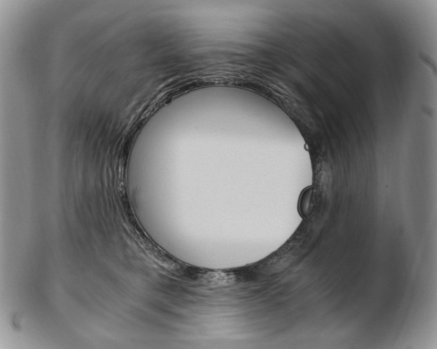 X0000103130421200808221046
