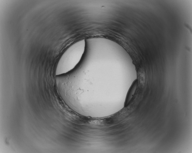 X0000103130422200808221046