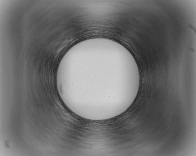 X0000103130423200808221046