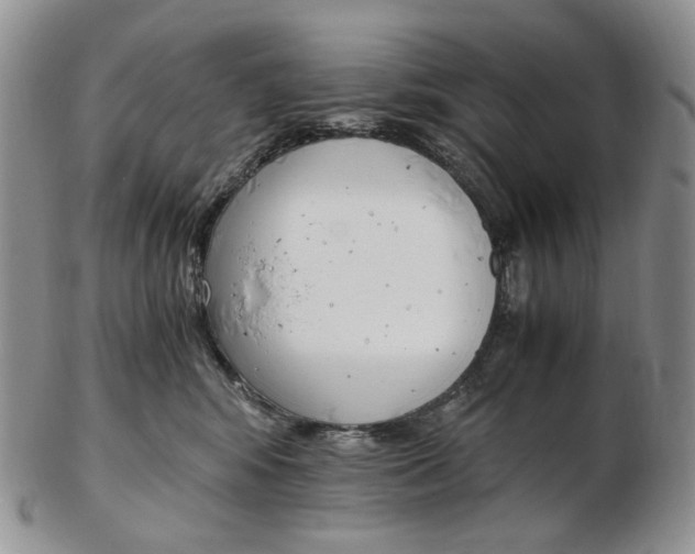 X0000103130424200808221046