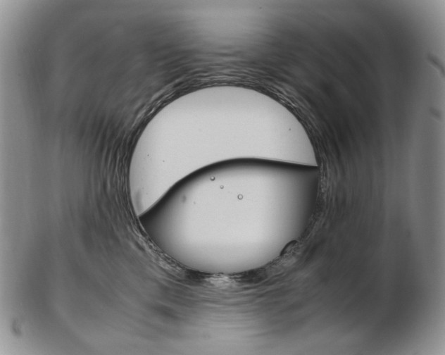 X0000103130425200808221046