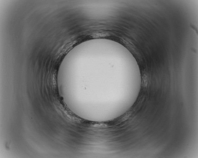 X0000103130426200808221046
