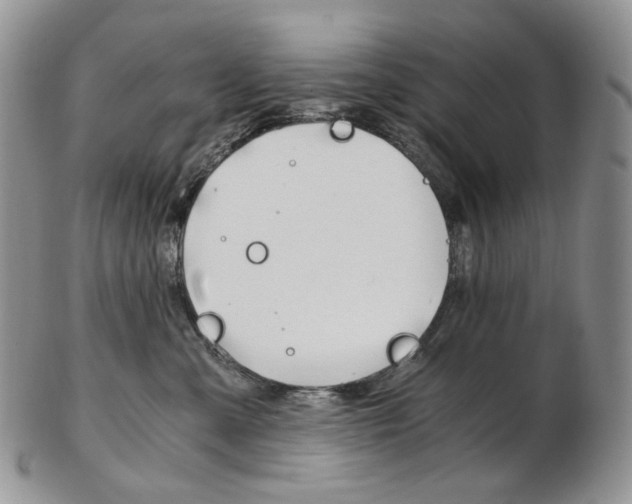 X0000103130427200808221046