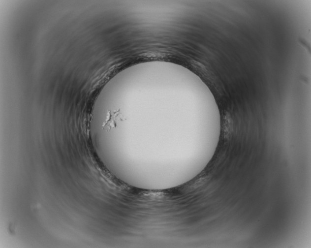 X0000103130428200808221046