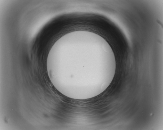X0000103130431200808221046