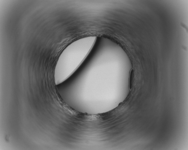 X0000103130432200808221046