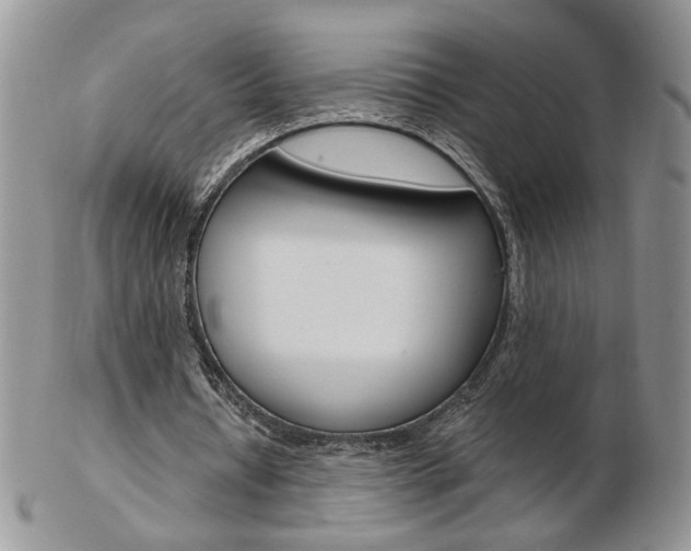 X0000103130434200808221045