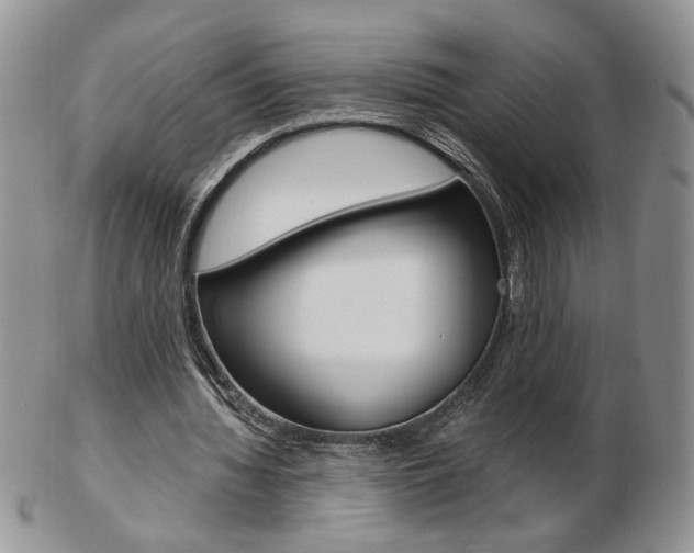 X0000103130436200808221045