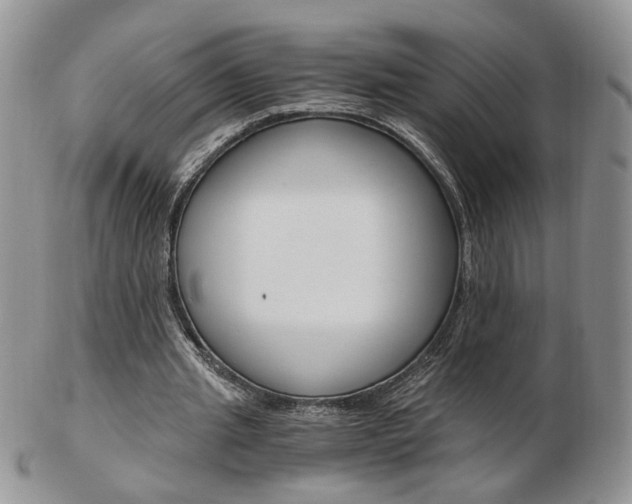 X0000103130437200808221045