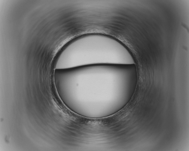 X0000103130440200808221045