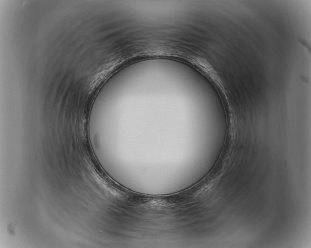 X0000103130441200808221045