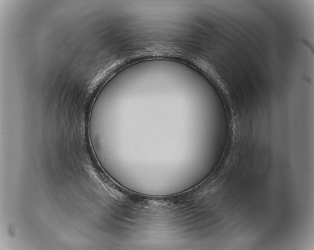 X0000103130442200808221045