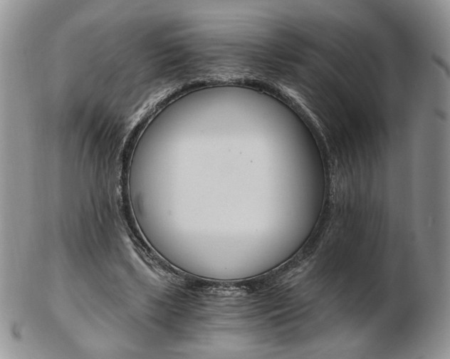 X0000103130443200808221045