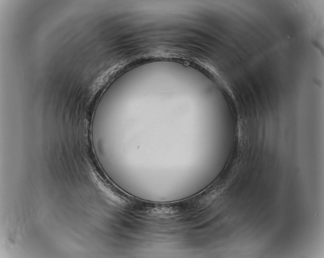 X0000103130445200808221045