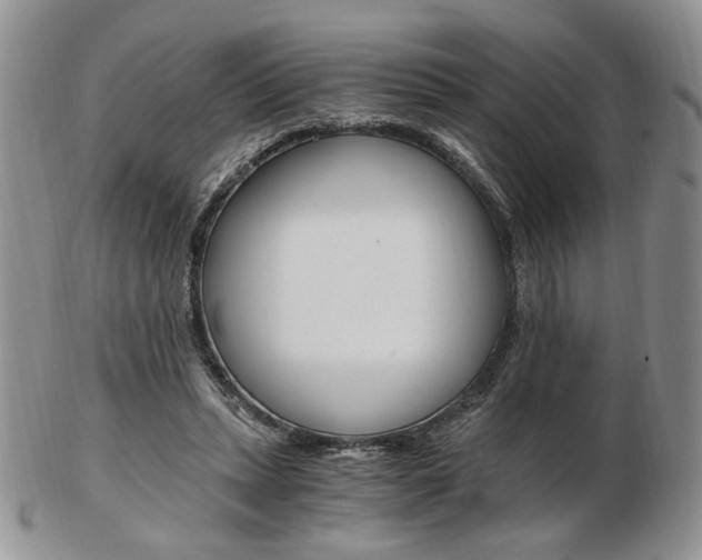 X0000103130447200808221045