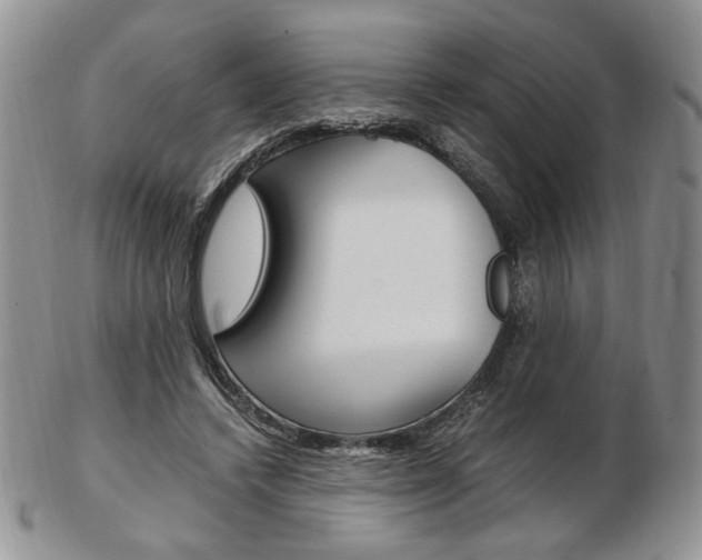 X0000103130448200808221045
