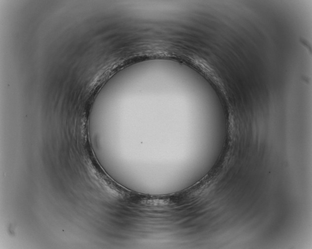 X0000103130449200808221045