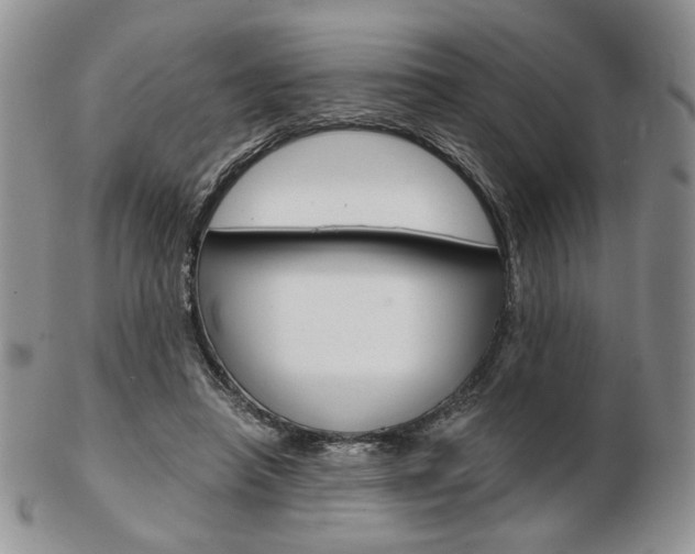 X0000103130450200808221045