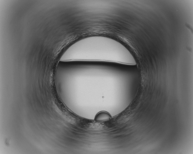 X0000103130451200808221045