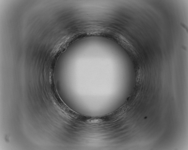 X0000103130452200808221045