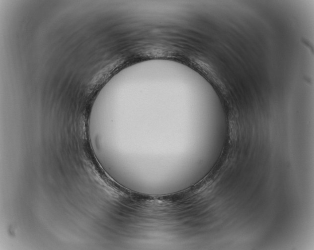 X0000103130453200808221045