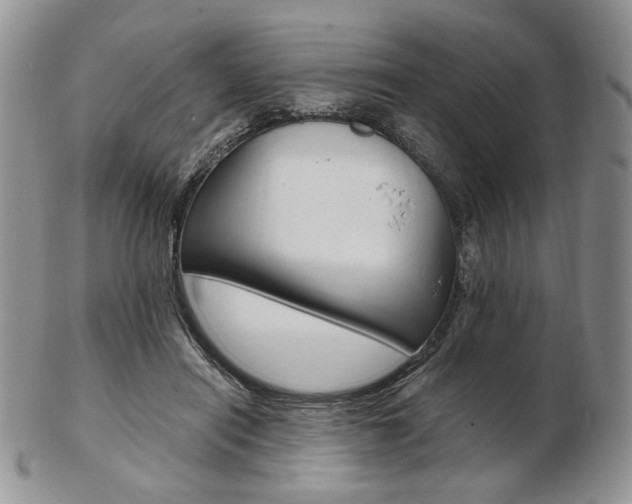X0000103130454200808221045