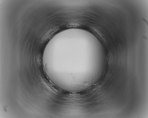 X0000103130455200808221045