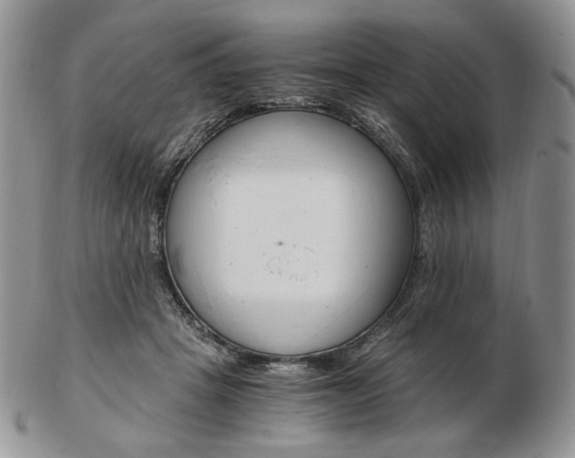 X0000103130457200808221045