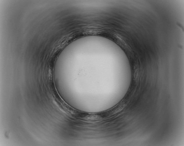 X0000103130459200808221045