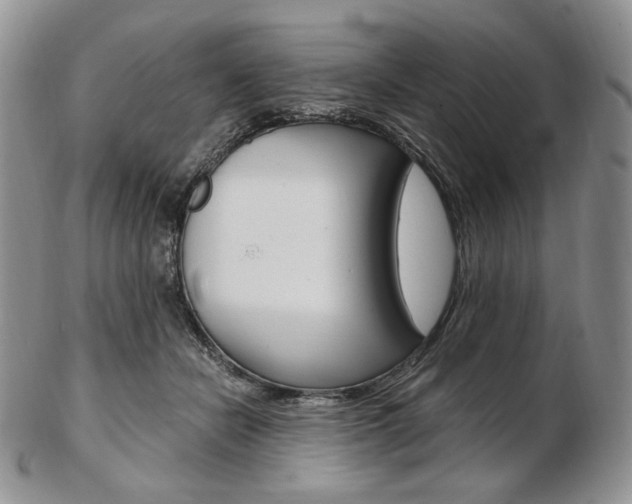 X0000103130462200808221045