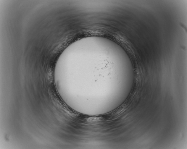 X0000103130465200808221046