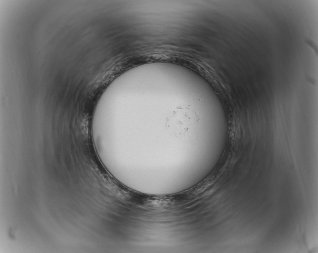 X0000103130466200808221046