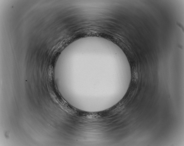 X0000103130468200808221046