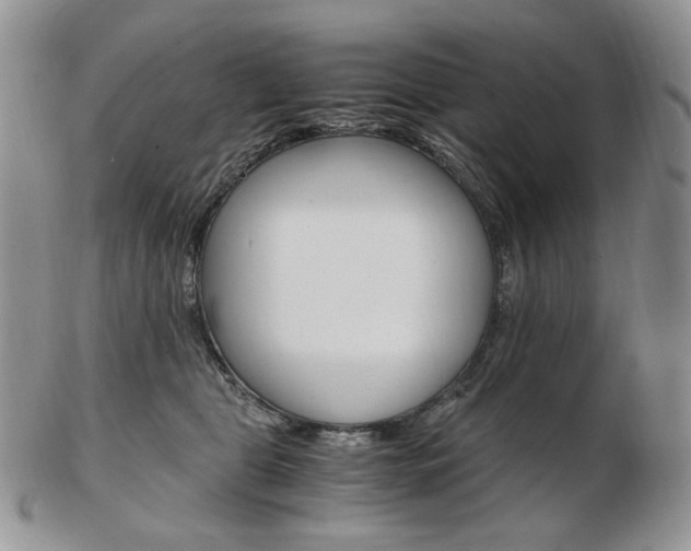 X0000103130469200808221046