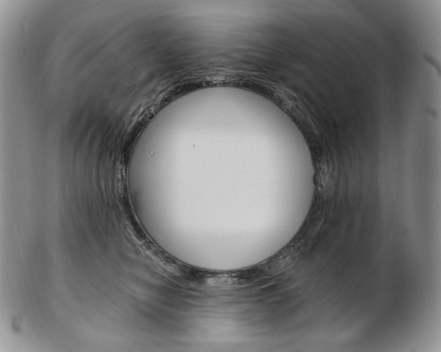 X0000103130470200808221046