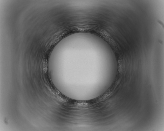X0000103130471200808221046