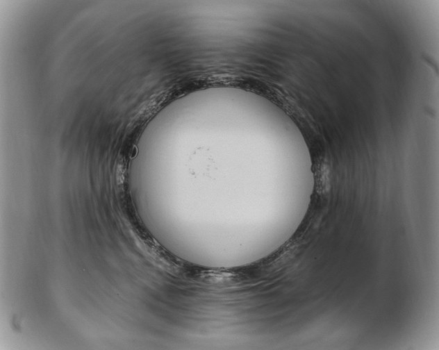 X0000103130472200808221046