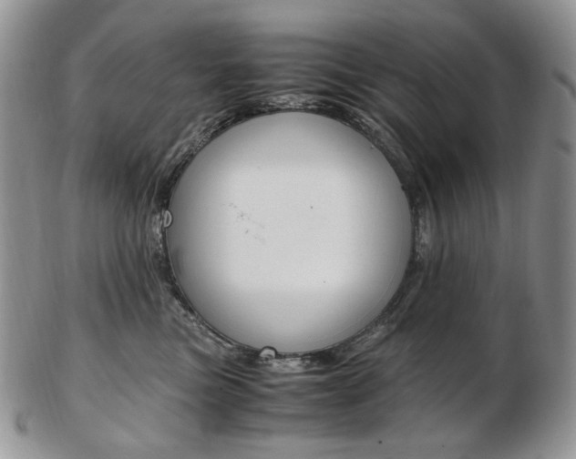 X0000103130473200808221046