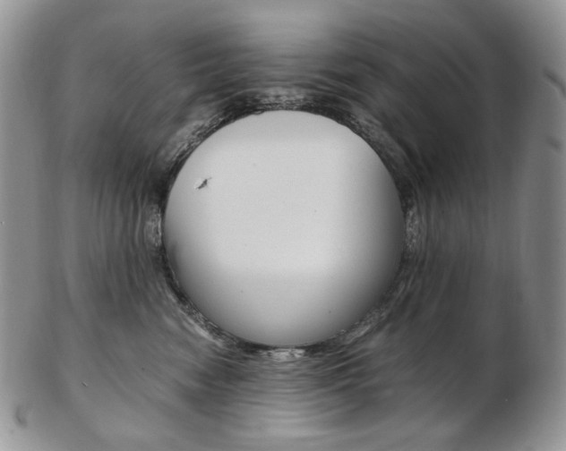 X0000103130474200808221046