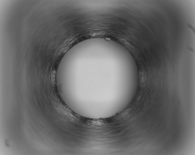 X0000103130475200808221046