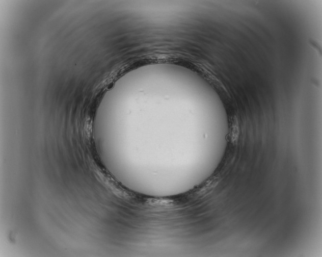 X0000103130476200808221046