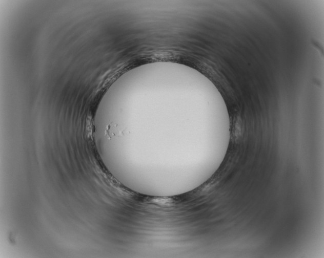X0000103130478200808221046