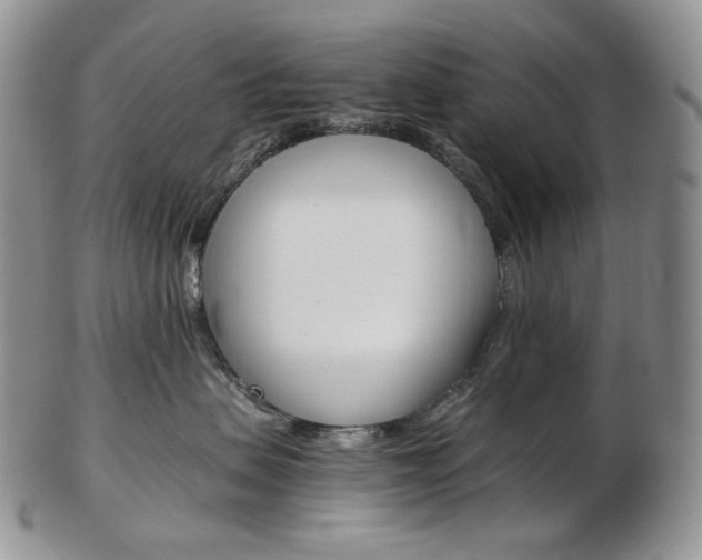 X0000103130479200808221046