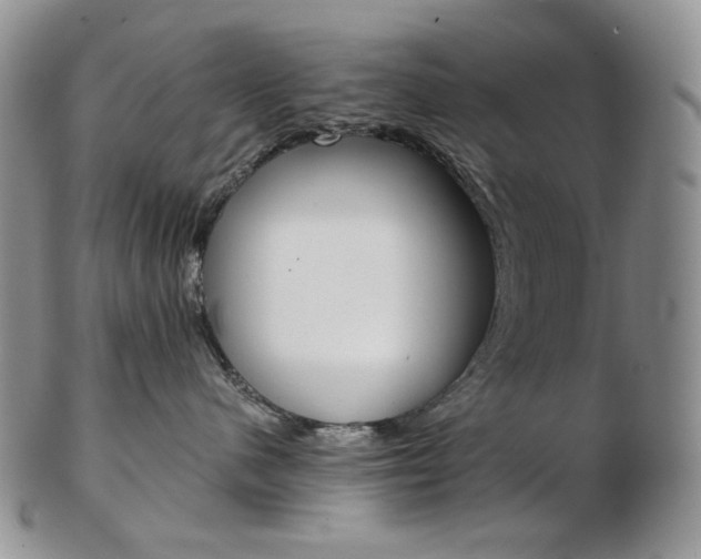 X0000103130480200808221046